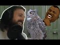 Forsen gets bombarded by owls ZULUL