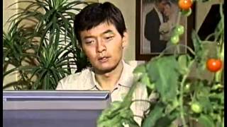 노란손수건 - Yellow Handkerchief 20031003  #004