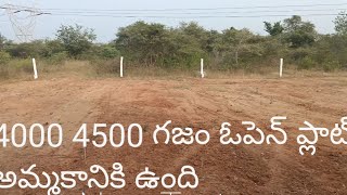 500 Yard 1000 Yard Open Plot For Sale !! 500 గజాల 1000 గజాల ఓపెన్ ప్లాట్ అమ్మకానికి ఉంది లో