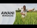 AWANI Ringkas: Pesawah, penoreh getah, nelayan dapat bantuan