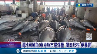 滿地都是黑鮪魚! 漁民樂翻 東港黑鮪魚單日進港逾4百尾破紀錄 黑鮪大豐收! 量多價格下滑 漁民哭笑不得│記者 朱俊傑 朱怡蓉│【消費報你知】20230609│三立新聞台