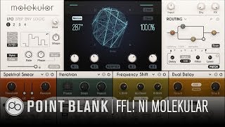 Native Instruments Molekular - How it Works (FFL!)