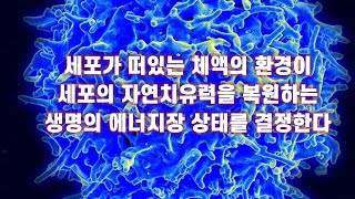 세포가 떠 있는 체액의 환경이 세포의 자연치유력을 복원하는 생명의 형태 에너지장 상태를 결정한다