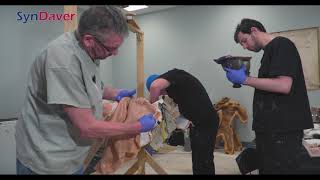 The SynDaver Synthetic Human - Anatomy Model