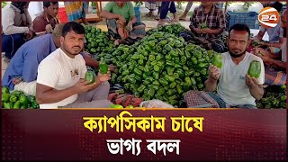 ক্যাপসিকাম চাষে সফলতা পেল ৩০ কৃষক | Capsicum Cultivation | Agriculture | Business | Channel 24