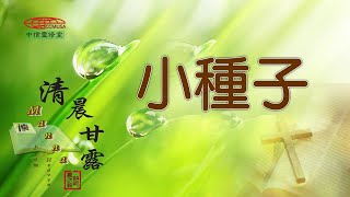 「清晨甘露」中信線上靈修室--03/31/2022 小種子