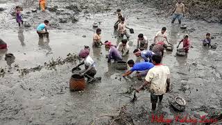 Amazing Traditional Fishing By Village People । Primitive System Fishing Asian People 2021