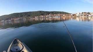 SEABASS FISHING - RIBOLOV BRANCINA  ŠIBENIK (BILICE)