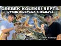 BANYAK REPTIL MONSTER ANEH DAN LANGKA DI KEBUN BINATANG TERTUA DI INDONESIA INI!