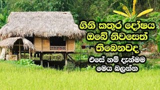 ගිනි කතුර දෝෂය ඔබේ නිවසෙත් තිබෙනවද - Gini Kathura Dosha Vastu Tips