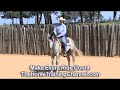 champion horse training tip 26 tighten up