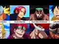 Who Killed Whom in One Piece