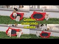 Gatinhos conhecendo a grama - Gatil Hauser