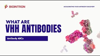 Antibody ABCs: VHH Antibodies