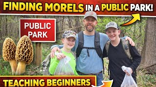 They Ve Never Found Morels Until Today Beginner Tips That Work