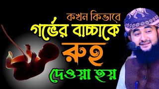 কখন কিভাবে গর্ভের বাচ্চাকে রুহ দেওয়া হয়,, মাওলানা মুস্তাফিজ রাহমানী নতুন ওয়াজ ২০২৪