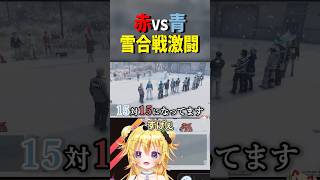 【GTA5 RP】赤VS青の大激闘！大人数参加の雪合戦イベント #shorts