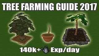 [Runescape 3] Complete Tree Farming Guide 2017 | 140k+ Farming exp/day | Full Tree Farming Route