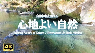 心地よい自然：川の音、水の音、鳥のさえずり / ストレス緩和、自律神経を整える【自然の音,ASMR,4K,relaxing nature sounds】