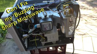 Sharp R-350E Inverter Microwave Buzzing - Can I fix it?