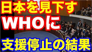 【海外の反応】スカッと！日本を見下すWHOにブチキレた一人の日本人が快挙！WHOへの支援をストップした結果に世界が驚愕する【Twitterの反応】