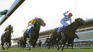 【有馬記念】ドウデュース「有終の美」なるか?きょう運命の公開枠順抽選会　過去10年の優勝馬と”好走枠”を分析 Japan Prince