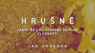 Jarní řez hrušky – od výsadby do plné plodnosti