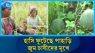 খাগড়াছড়ির পাহাড়ে জুমের ফসল তোলায় ব্যস্ত সময় পার করছেন জুমিয়ারা | Khagrachari | Rtv News