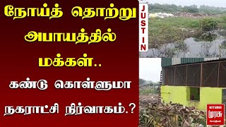 நோய்த் தொற்று அபாயத்தில் மக்கள் ..கண்டு கொள்ளுமா நகராட்சி நிர்வாகம் .? | Malai Murasu | Palladam