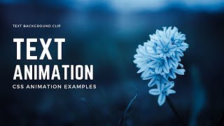 CSS Text Background Clip Animation | CSS Animation Examples