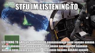 Ace Combat 7 STFU