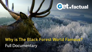 Beyond the Black Forest - Wild Germany | Full Documentary Part 3