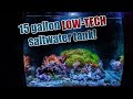 15 Gallon NANO salt-water tank: No Dosing, No water tests?!? JUST WATER CHANGES!