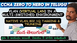 VLAN in a Multi-Switched environment | 802.1Q Tagging | Trunking |Native VLAN |#vlan |#ccna |#cisco