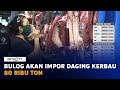 Bulog akan Impor Daging Kerbau 80 Ribu Ton