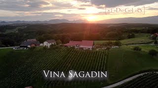 Vina Sagadin: Promo 2020 [Official] -  (Ansambel Naveza - Sonce zašlo je že tam za goro)