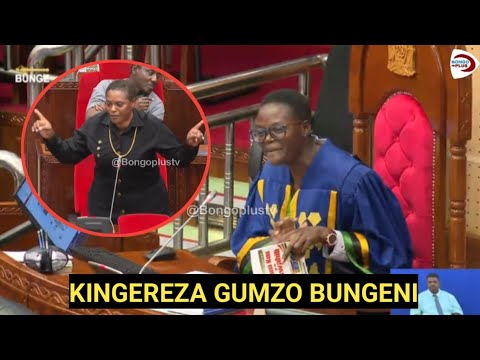 KINGEREZA CHAZUA KIZAI ZAI BUNGENI NENO HOLI LILIVO MCHANGANYA MBUNGE ...