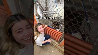 rescuing a dog part 2 #rescuedog