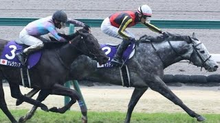 高松宮記念 2024 マッドクール優勝　坂井瑠星騎手　#競馬 #高松宮記念 #jra