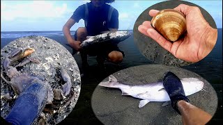 瑀爸野味-海灘亂跑遇大貨-What is encountered on the beach.！/瑀爸YingziJin_110#126