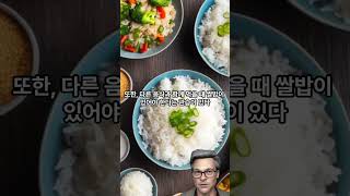 한국인이 사랑하는 주식 쌀밥의 효능과 역사 The Effectiveness and History of Rice, a Korean-loved Rice