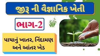 જીરૂમાં પાયાનું ખાતર, નિંદામણ અને આંતરખેડ || જીરૂની વૈજ્ઞાનિક ખેતી ભાગ-2 || જીરૂ વાવવાનો સમય || જીરૂ