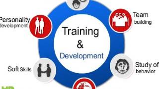 Training & Development of Employees in Human Resources Management | Hrhelpboard