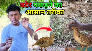 बटेर पकड़ने का आसान तरीका | बटेर kaise pakde | how to catch quail ||