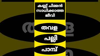 കണ്ണ് ചിമ്മാൻ സാധിക്കാത്ത ജീവി #interestingfacts #gkquestion #gkmocktest #lss #generalknowledge #gk