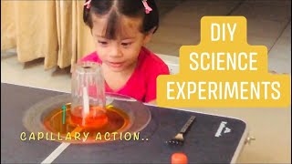 5 minutes DIY science experiments for Kids | Cool Science Tricks