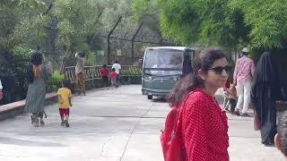 Nahargarh Zoological Park | Nahargarh Zoological Park In Jaipur | Places To Visit In Pink City