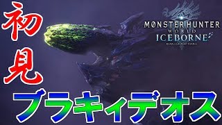 【MHWIB】ソロでお前らモンスターを駆逐してやるよ‐砕竜‐【モンスターハンターワールドアイスボーン】