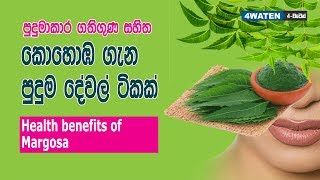 Benefits of Margosa : Neem benefits (2018) කොහොඹ ගැන පුදුම දේවල් ටිකක්