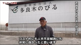 密苗　お客様導入事例　(熊本県 農事組合法人多良木のびる　深水様）